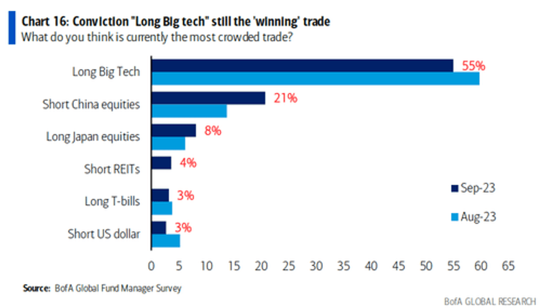 FMS de la BoFa - The Market Ear