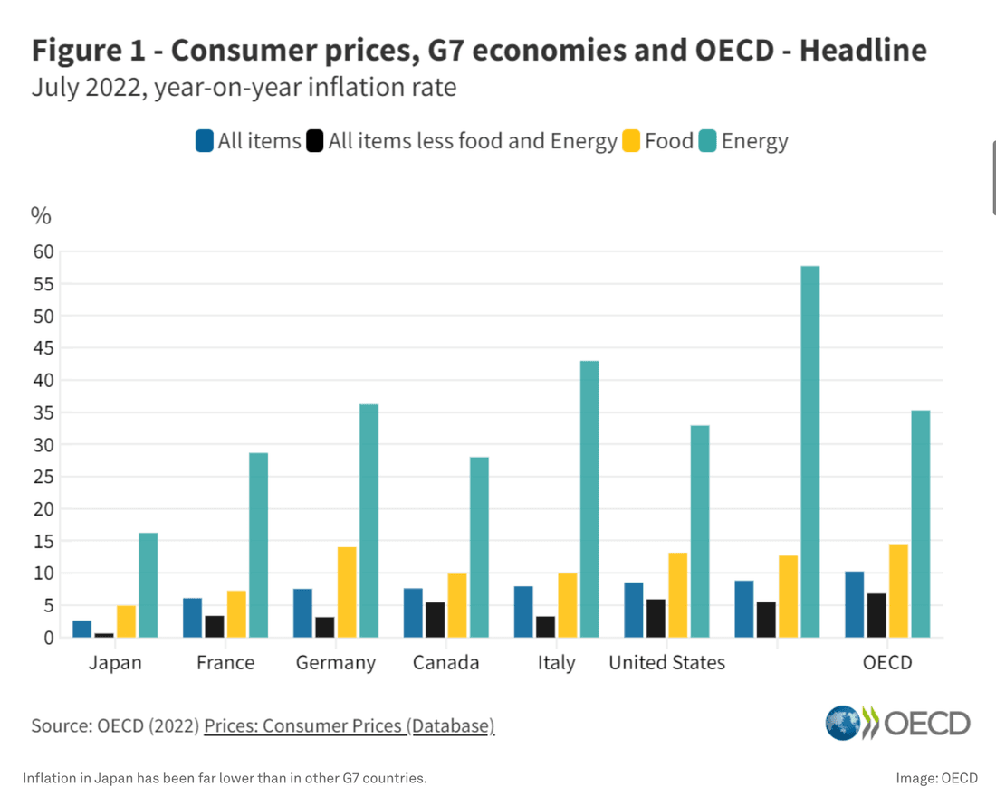 Variation annuelle de l’inflation dans les pays du G7 en juillet 2022. Source : OCDE